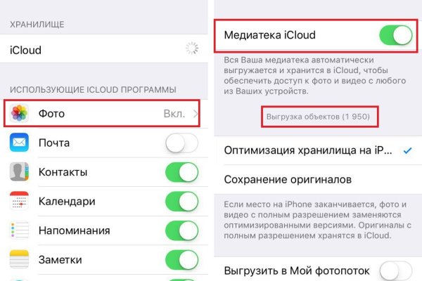 Ссылка в даркнет