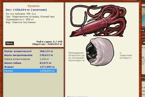 Как работает сайт kraken