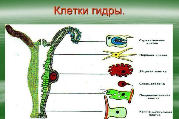 Ссылка кракен kraken torion net